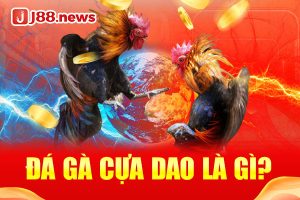 Đá gà cựa dao là gì?