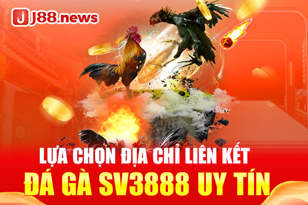 Lựa chọn địa chỉ liên kết đá gà SV3888 uy tín