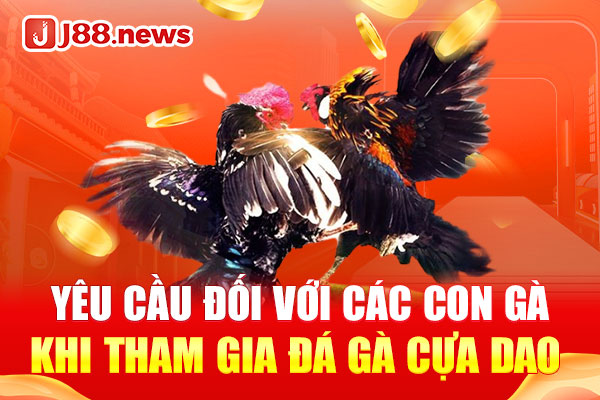 Yêu cầu đối với các con gà khi tham gia đá gà cựa dao